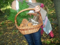 100_2974.JPG
