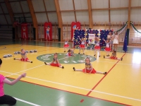 SDC10608.jpg