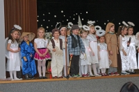 IMG_1223.jpg