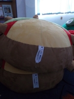 DSCF0519.jpg