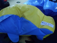 DSCF0528.jpg