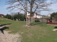 DSCF1011.jpg