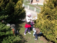 DSCF1037.jpg
