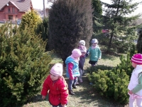 DSCF1039.jpg