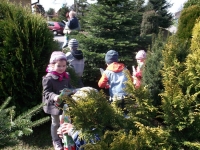 DSCF1040.jpg