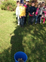 DSCF2029.jpg