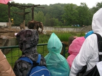 DSCF4816.JPG