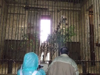 DSCF4821.JPG