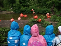 DSCF4833.JPG