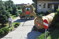 DSC_3212.jpg