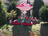 Image00005.jpg